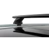 Rhino Rack RX200 Cross Bar Kit for Ford Everest U704 Raised Rail - View 1