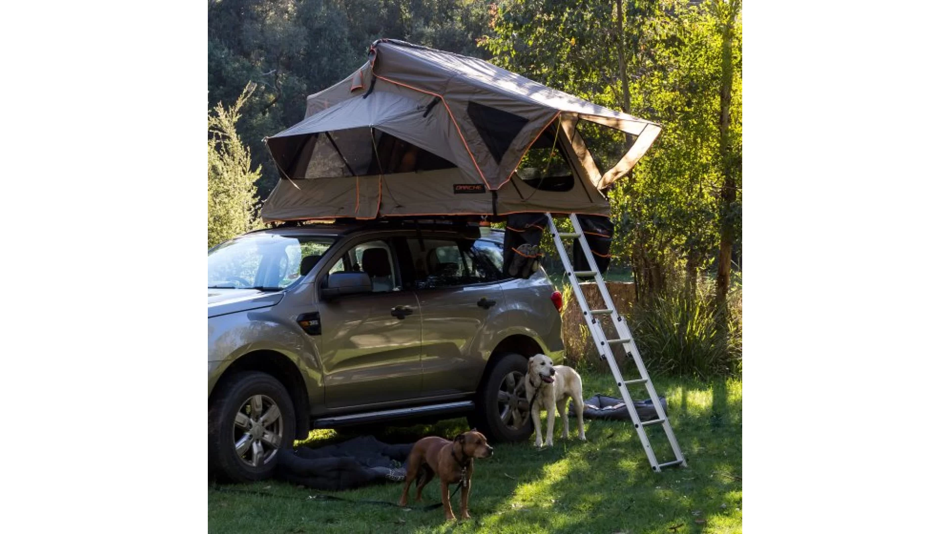 Darche Intrepidor 2 Medium Roof Top Tent (T050801515C)