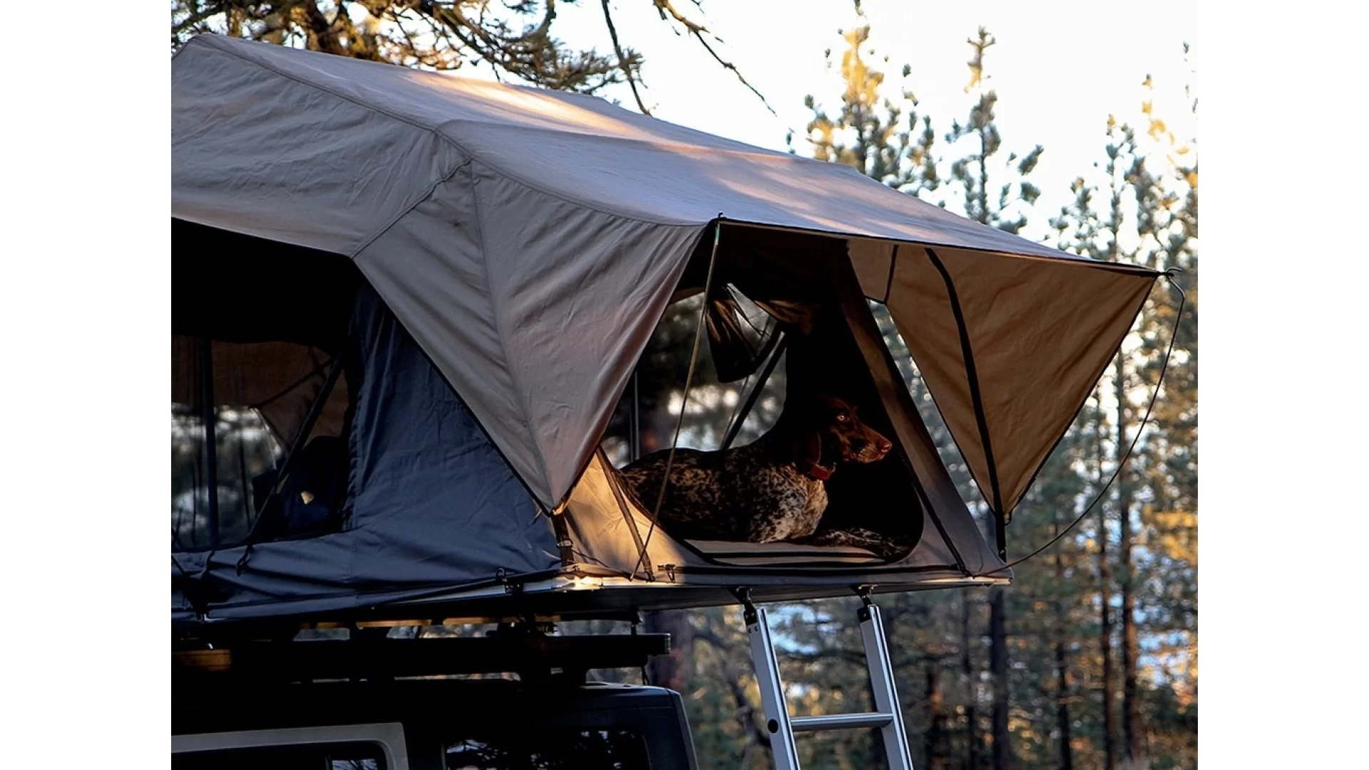 Roof Top Tent - TENT031 - View 6