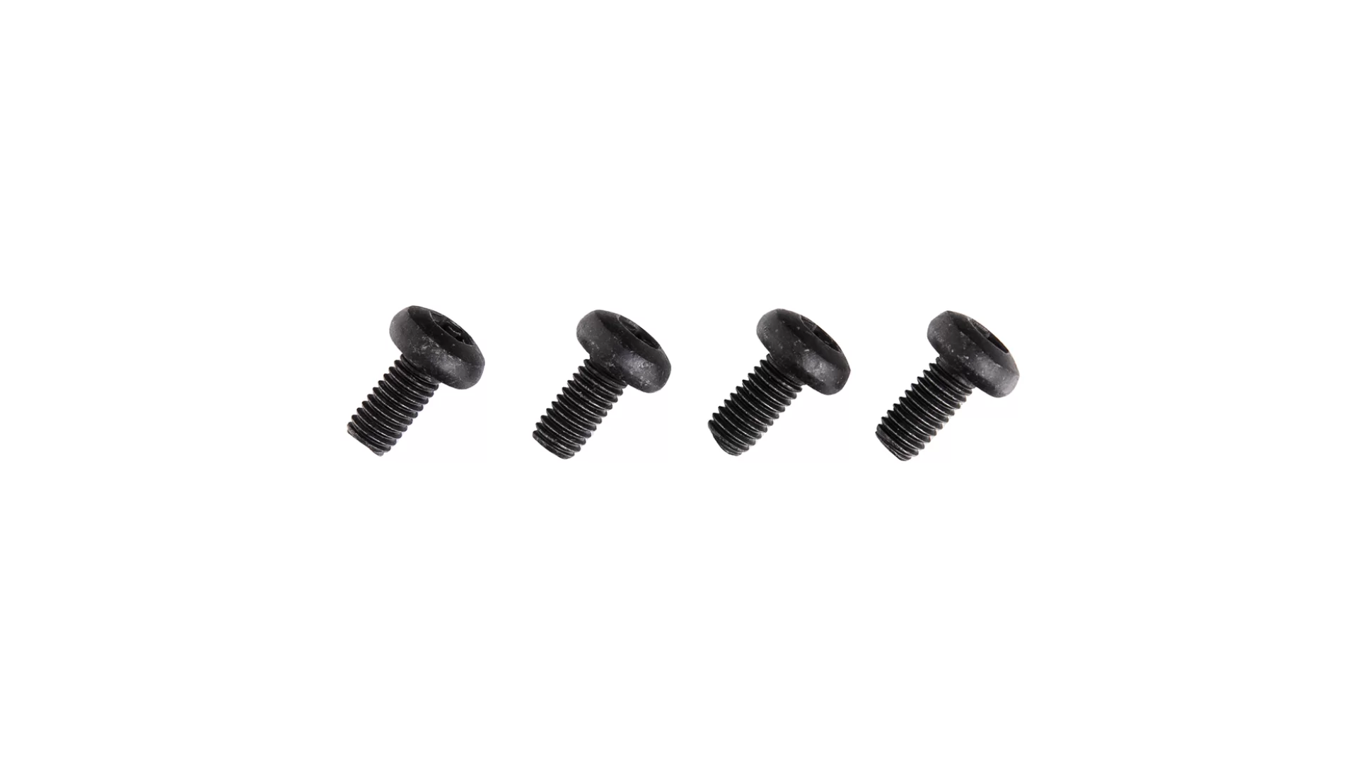 Rhino Rack M6 X 12 Pan Head T30 Screw BLK (BP 4) - B120009-BP