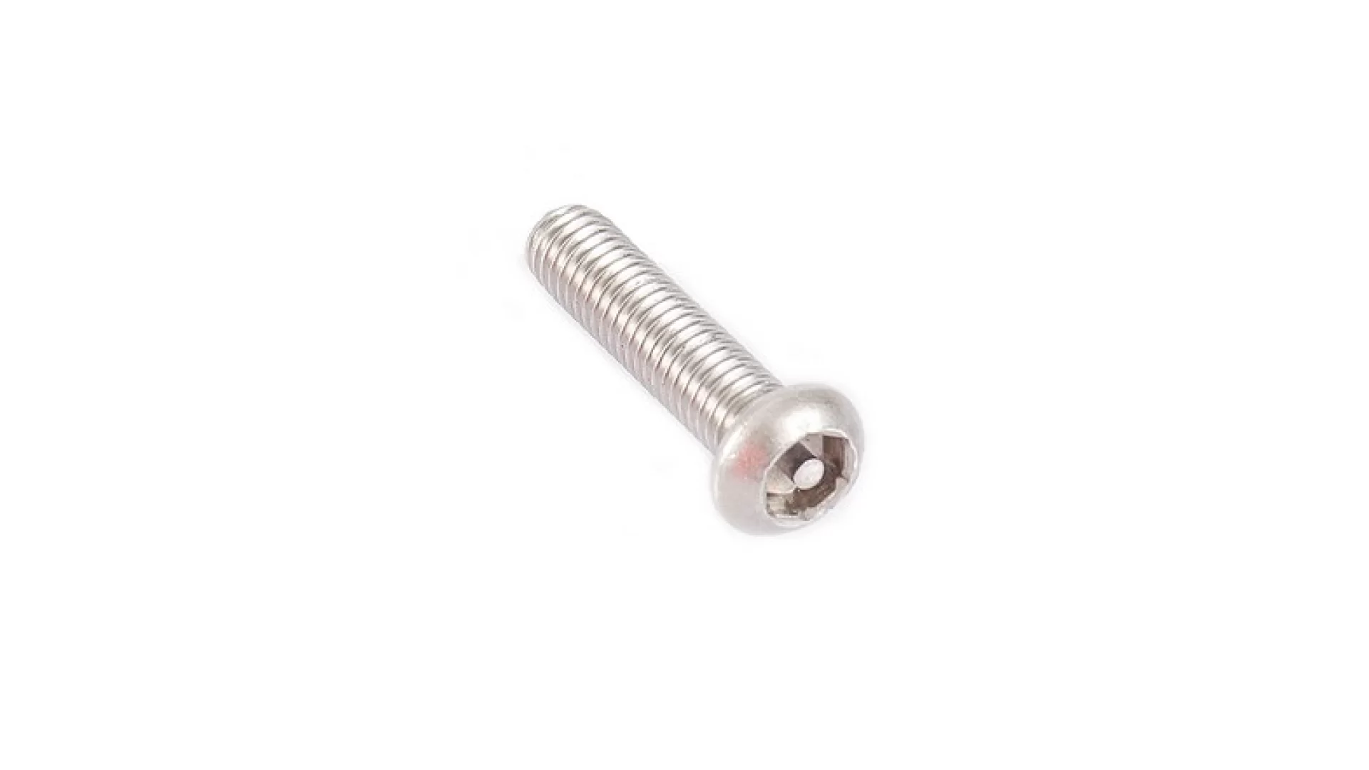 Rhino Rack M6 x 25MM ST/ST SECURITY SCREW (BP 6) B137-BP