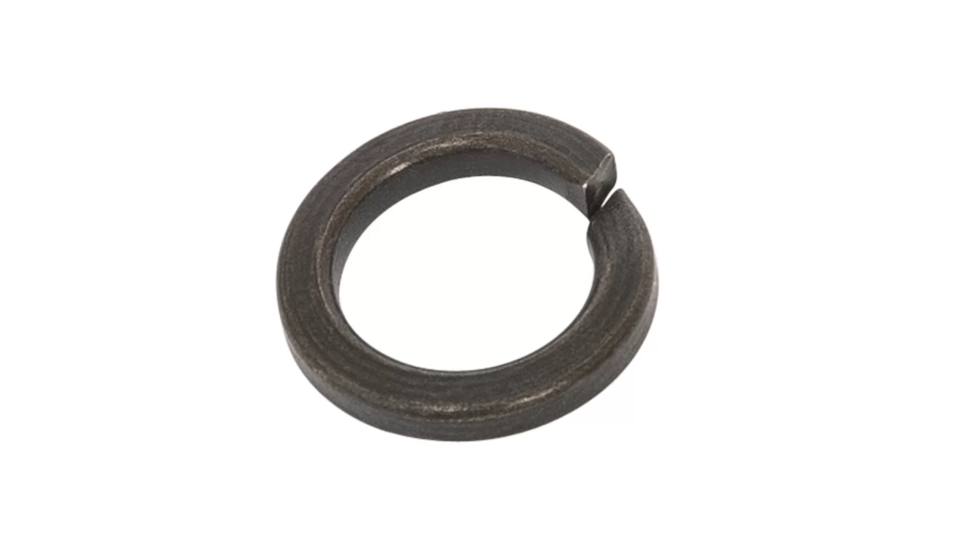 Rhino Rack M8 Black Spring Washer (stainless Steel) (4 Pack) - W019-BLK-BP