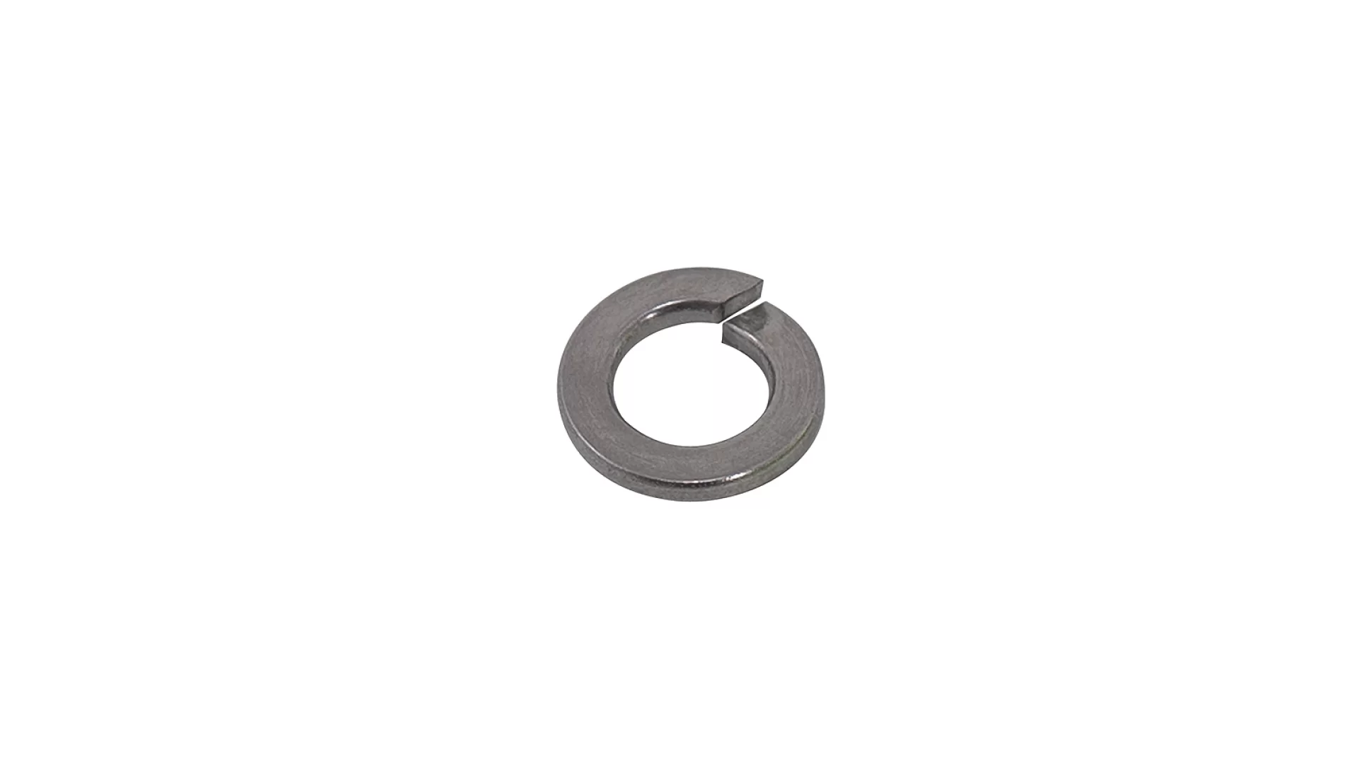 Rhino Rack M8 SPRING WASHERS S/S (BP 10) W019-BP