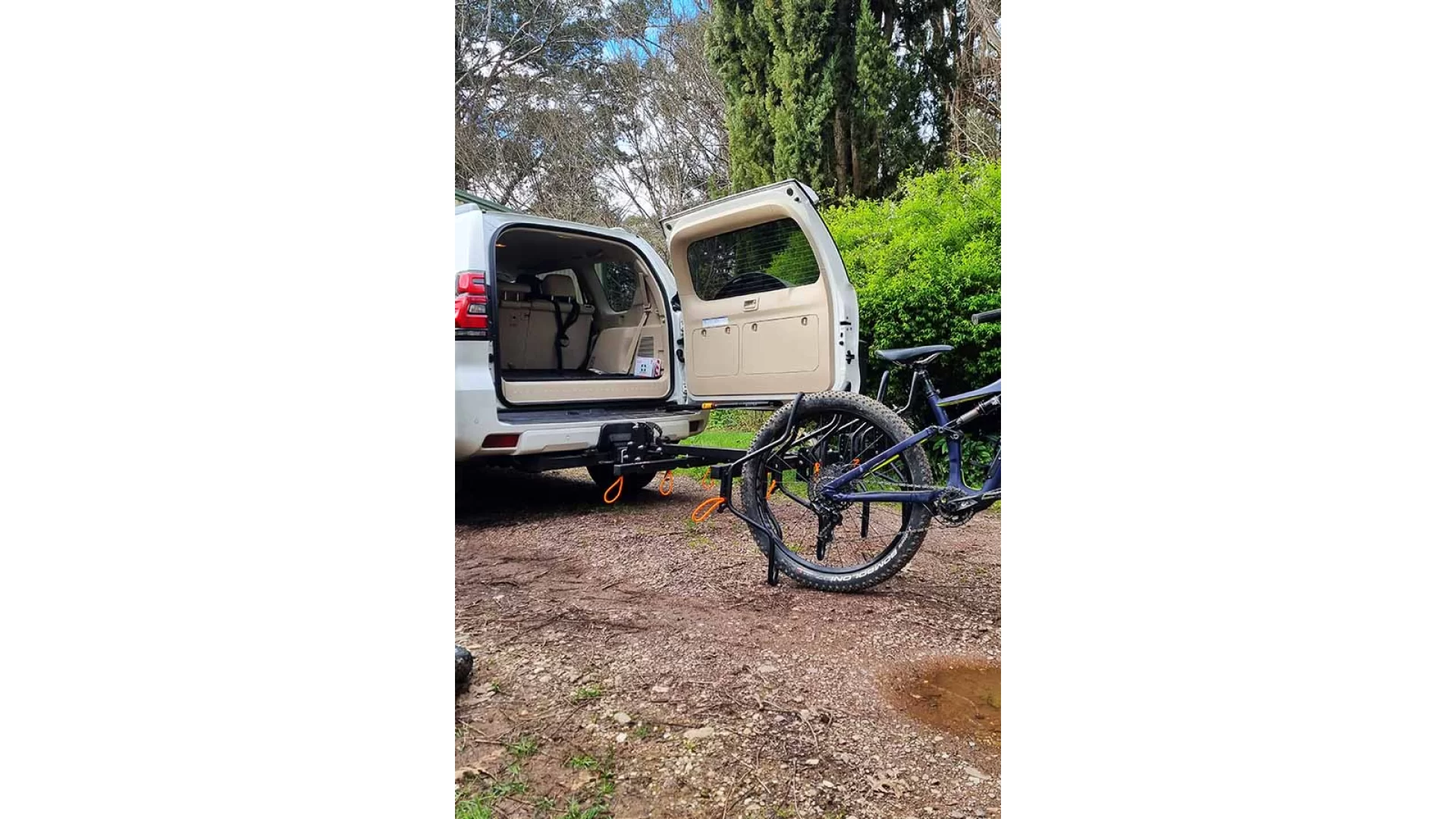 Shingleback Lite Vertical Rack - 5 bike Rack - SBR005 - View 1