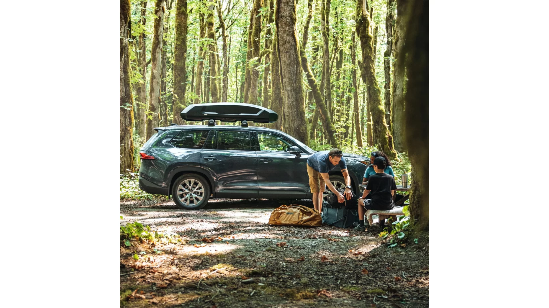 Thule Force 3 M Roof Box - 645200 - View 2