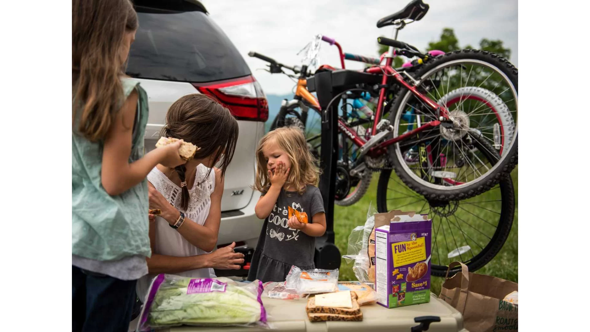 Yakima FullSwing Black 4 Bike Hitch Mounted Carrier - 8002465 - View 8