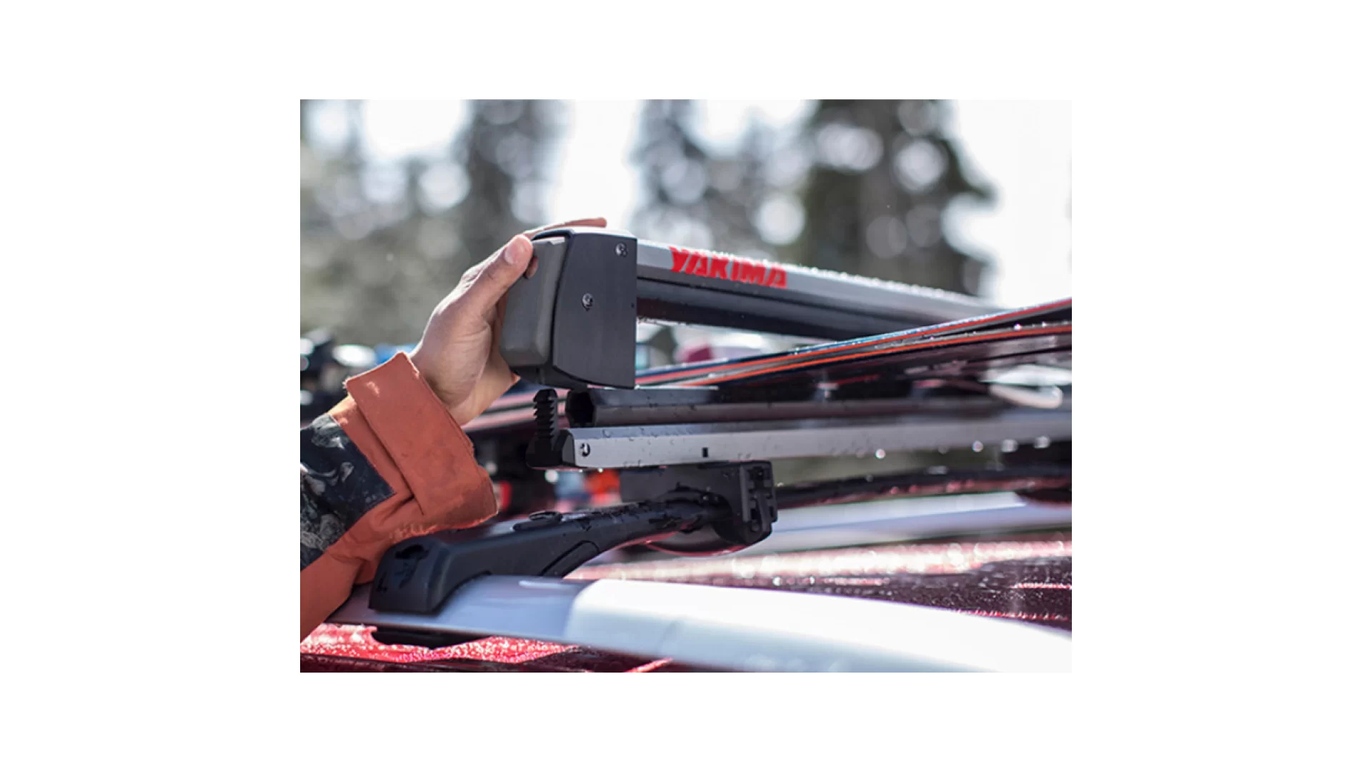 Yakima FreshTrack 4 8003092 - View 2