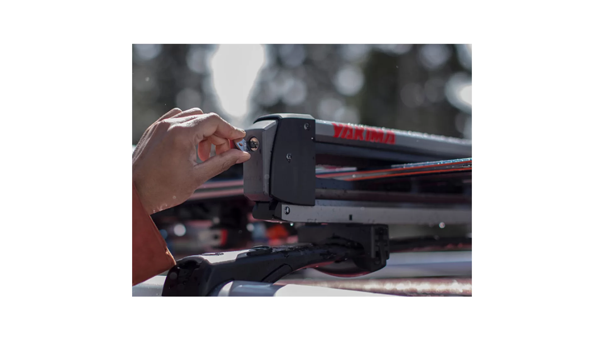 Yakima FreshTrack 6 8003093 - View 2